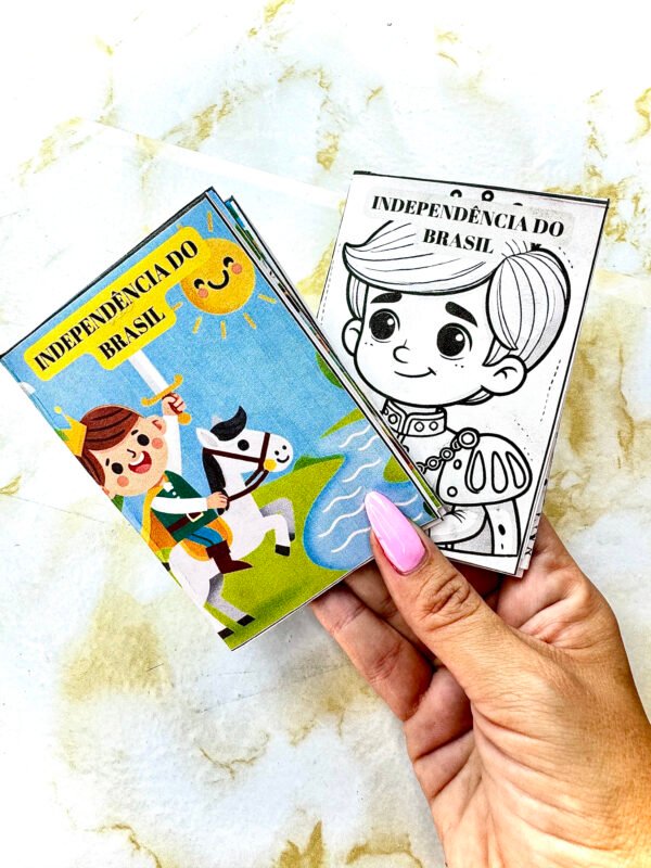 Livro ZINE INDEPENDÊNCIA